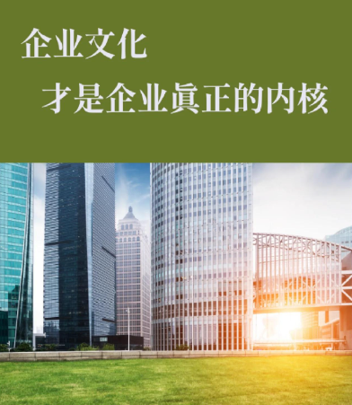 元小倾抗初老套装与单瓶精华的搭配使用策略